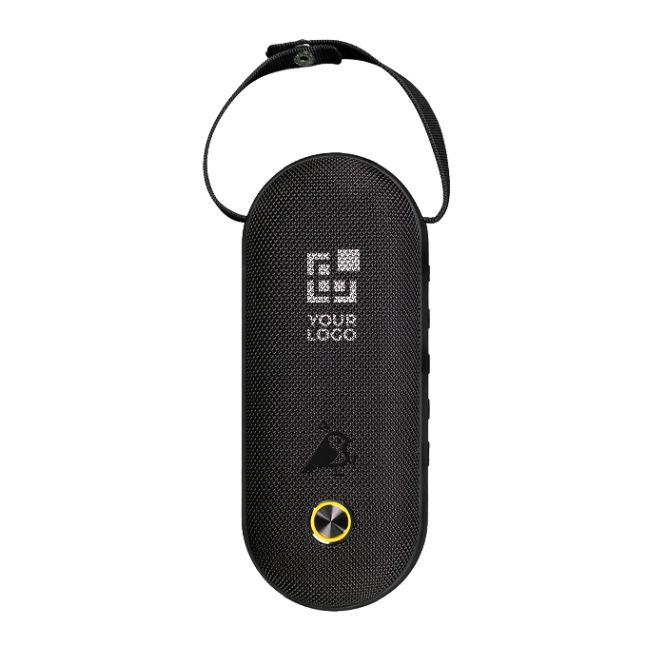Altoparlante portatile con maniglia di presa e illuminazione RGB 8 colori 30 W