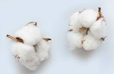 Fibre di cotone naturale