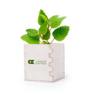 Vasetto pubblicitario con semi di menta